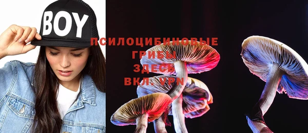 марки lsd Белокуриха